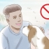 Reduktion af angst hos hunde