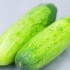 Syltning af pickles med dild