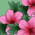 Pasning af azalea