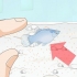 At tage sig af baby platy fisk