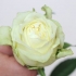 Male blomster