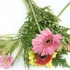 Blomsterarrangement