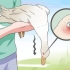 Behandling af botulisme hos en and