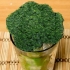Holder broccoli frisk