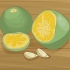 Calamondin planter