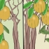 Dyrkning af citrontræer indendørs
