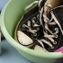 Rengøring converse all stars