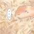 Behandling af din hamsters brækkede ben
