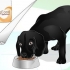 Glans en hunds pels