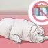 Behandling af diarré hos en hund