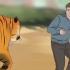 At overleve et tigerangreb
