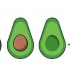Dyrkning af en avocadoplante