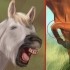 Skab et bånd med din hest gennem natural horsemanship