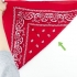 Sådan folder du en bandana
