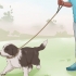 Træning af en border collie-hvalp