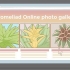 Pasning af en bromelia