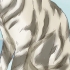At genkende en tabby cat