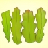 Dyrkning af en epiphyllum cactus