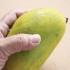 At vælge en god mango