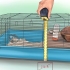 Opsætning af hamsterbur