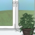 Få en hoya-plante til at blomstre