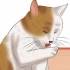 Tjek en kat for lopper