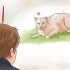 Bekæmper en cougar