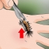 Behandling af et larvestik