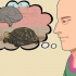 Pasning af en dvaleskildpadde