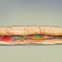 Bestil en subway sandwich