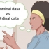 Lav et cirkeldiagram med procentsatser
