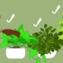 At lave et terrarium