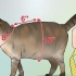 Lav en sele til din buttede kat