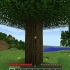 Sådan opretter du et skilt i minecraft