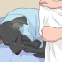 Behandling af en kold hund