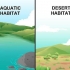 Tegning af et fødenet