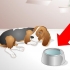 Hjælper en syg hund med at drikke
