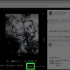 Facebook-gem videoer