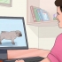 Opdræt med hunde