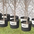 Plantning af frugttræer