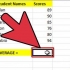 Sådan beregnes gennemsnittet og standardafvigelsen i excel 2007