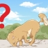 Stop din hund i at grave