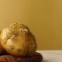 Forbereder jicama