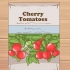 Dyrkning af cherrytomater