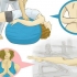 Vælg mellem yoga og pilates