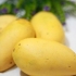 Opbevaring af mango