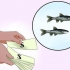 At holde minnows i live