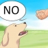 Sig nej til din hund