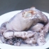 Forbered blæksprutte