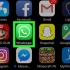 Offline ligner whatsapp